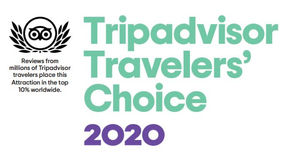 Tripadvisor 2020 Travelers' Choice Winner: DIG Tokyo Tours